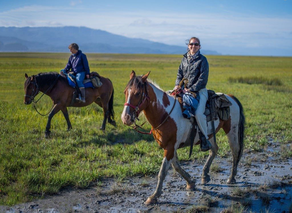 Fall Trail Riding: Preparing Your Horse