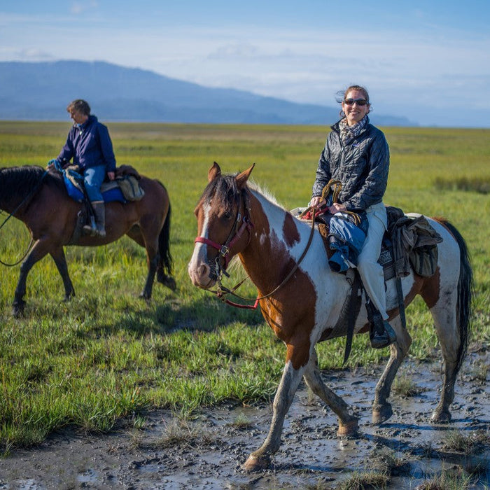 Fall Trail Riding: Preparing Your Horse