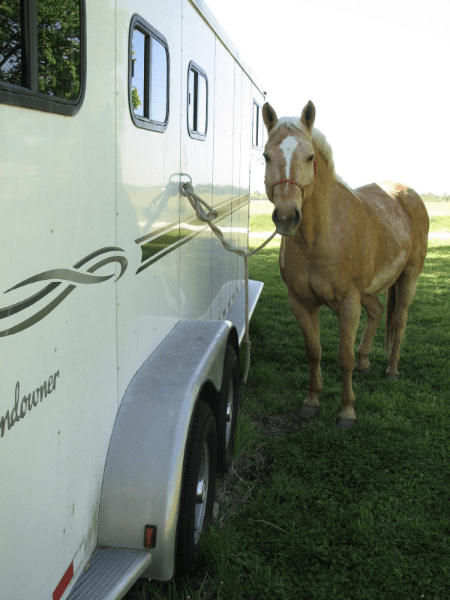 Choosing a Horse Trailer - Jeffers