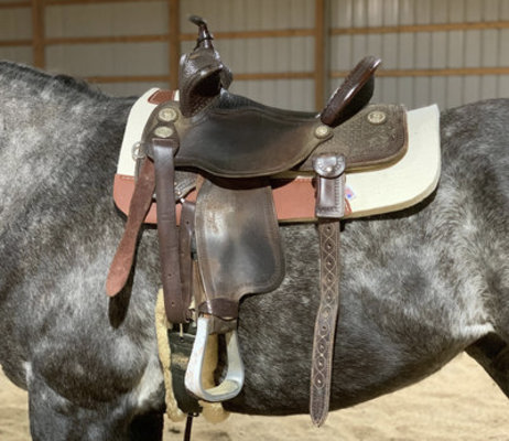 How to saddle a horse in 6 easy steps