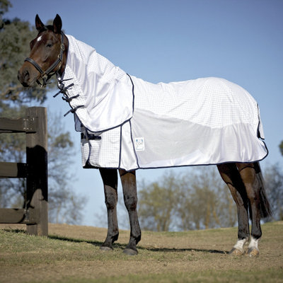 Top 7 Horse Sheet Choices for Spring