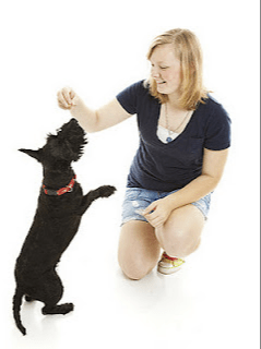 Dog Training Time-Savers - Jeffers