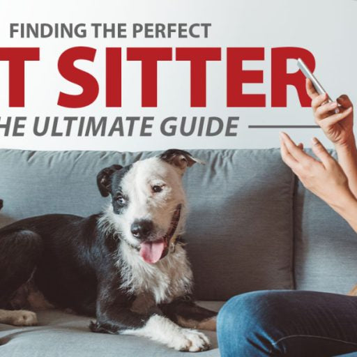 Your Guide to Finding the Perfect Pet Sitter