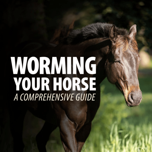 How and When You Should Worm Your Horse - Jeffers