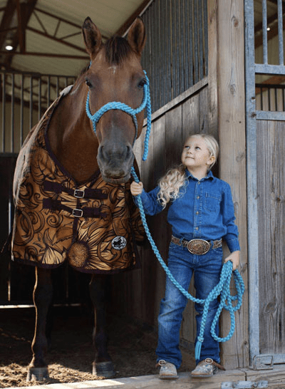 How to tack up a horse in 6 steps: Ultimate Western Edition - Jeffers