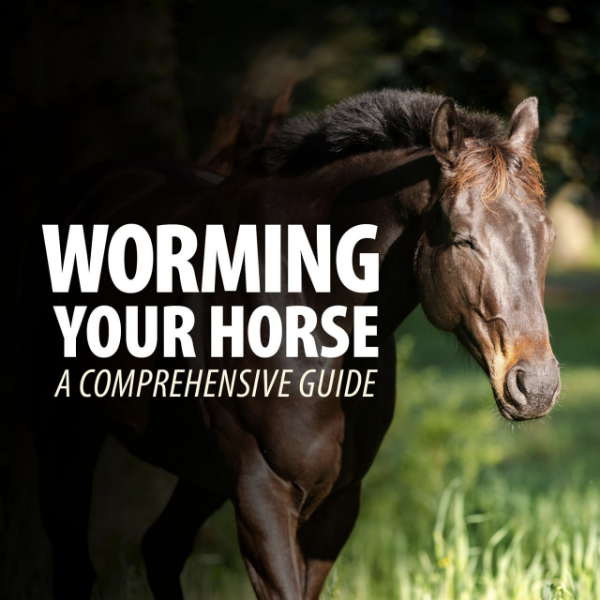 How and When You Should Worm Your Horse