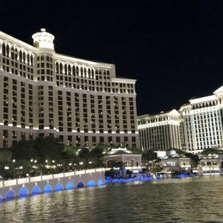 SuperZoo Day 4: Exploring Las Vegas - Jeffers