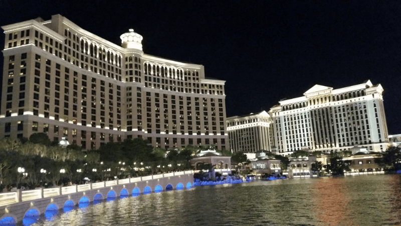 SuperZoo Day 4: Exploring Las Vegas - Jeffers