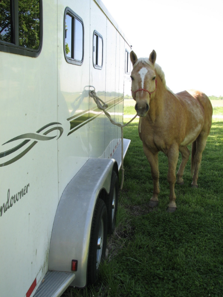 Choosing a Horse Trailer