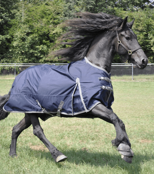 Top 10 Horse Blankets for the Winter Season - Jeffers