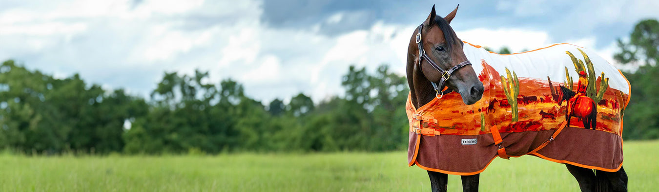 Horse Blankets & Turnout Sheets