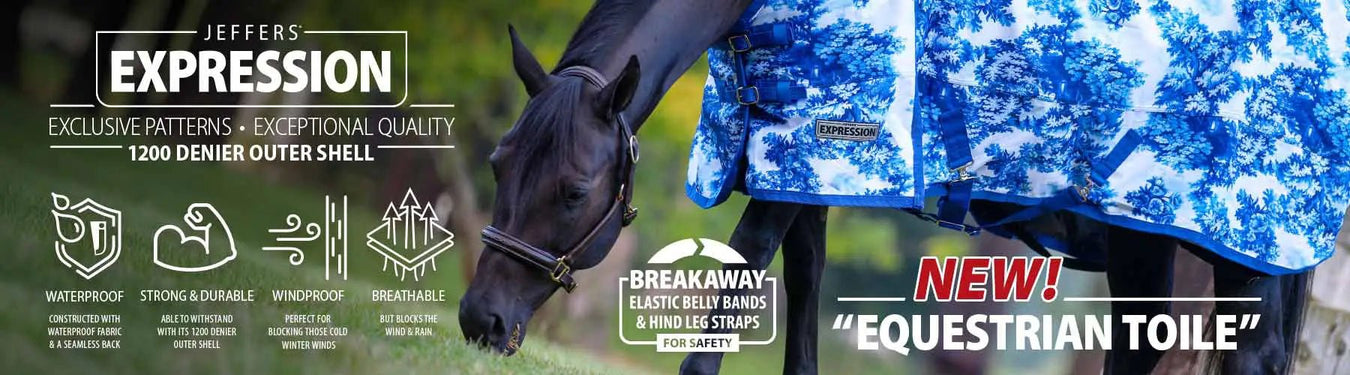 Jeffers Expression Equestrian Toile Print - Jeffers