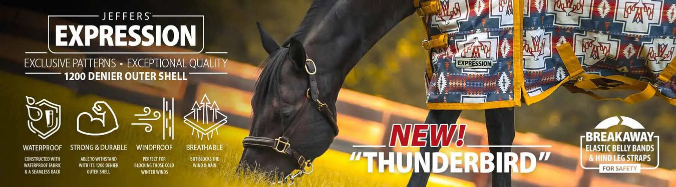 Jeffers Expression Thunderbird Print - Jeffers