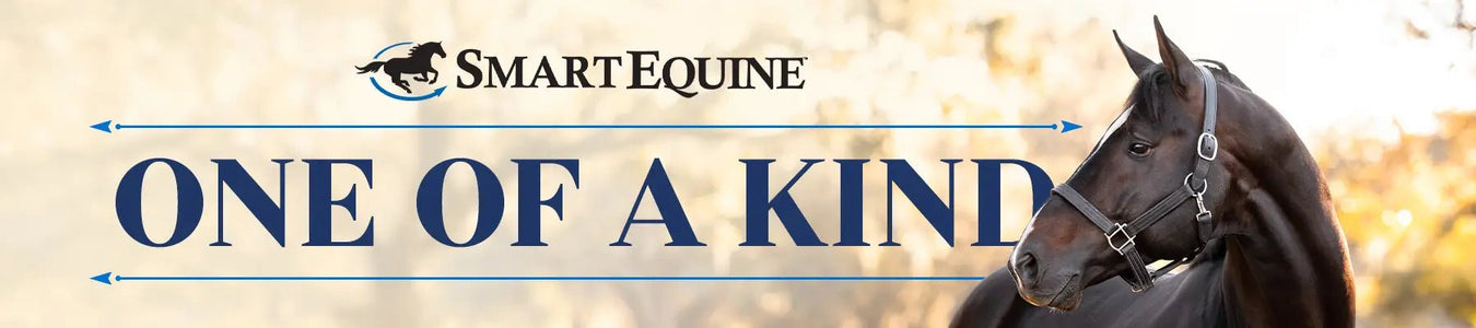 SmartEquine - Jeffers