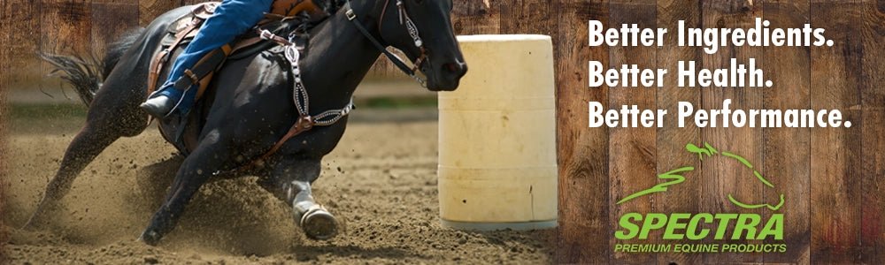Spectra Equine Supplements — Jeffers