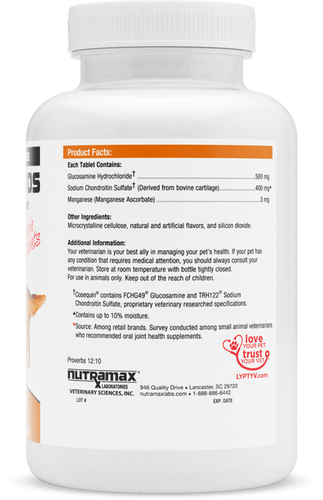 Nutramax Cosequin DS Joint Health Supplement for Dogs Glucosamine and Chondroitin - Cosequin DS Joint Health Supplement for Dogs, 132 ct  