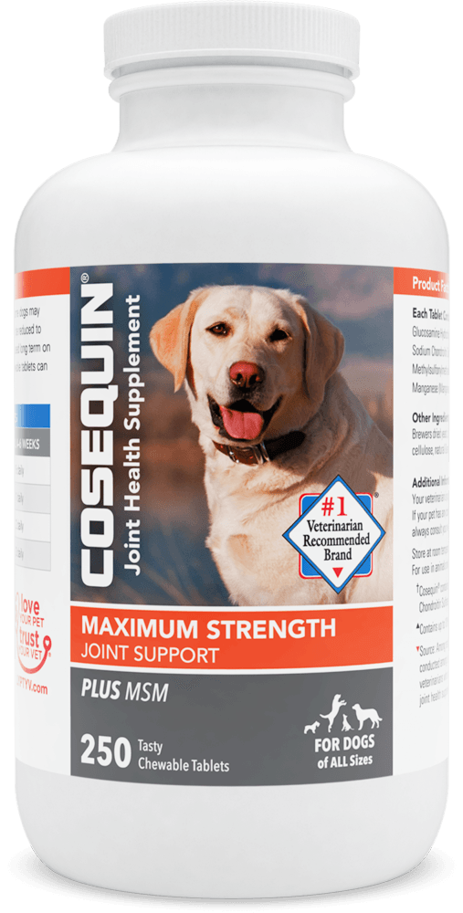 Nutramax Cosequin Maximum Strength Joint Health Supplement for Dogs - 250 ct Cosequin Maximum Strength with MSM  