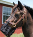 Jeffers Anti-Grazing Muzzle - Jeffers Anti-Grazing Muzzle, Horse size  