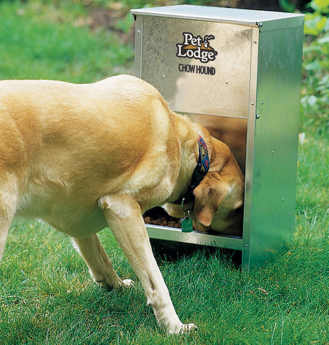 Chow Hound Pet Feeder - Chow Hound Dog Feeder, 50 lb  