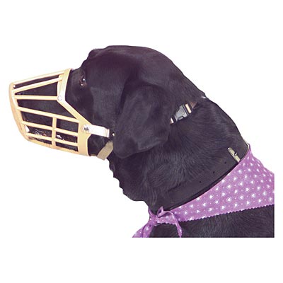 Jeffers Plastic Dog Muzzles - Size 2 (8") Plastic Dog Muzzle  