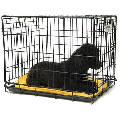 Jeffers Single Door Fold & Go Crate - 24"L x 18"W x 19"H Single Door Fold & Go Crate  