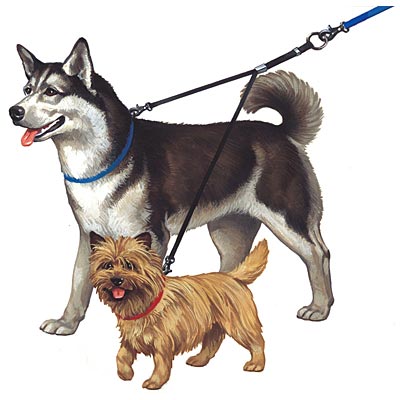 Double Dog Leash & Coupler - Double Dog Leash, 16" handle (black only)  