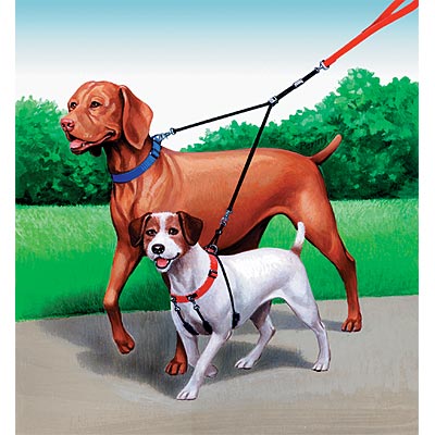 Double Dog Leash & Coupler - Double Dog Leash, 16" handle (black only)  