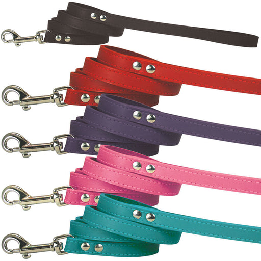 Spike & Stud Signature Leash, 3/4" x 4' - Pink  