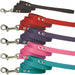 Spike & Stud Signature Leash, 3/4" x 4' - Red  