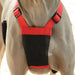 Sporn Non-Pulling Mesh Harness, Large/X-Large - Red  