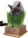 Kitty's Organic Garden Kit (& Refills) - Kitty's Garden (Organic)  