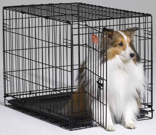 Midwest iCrate - Single Door Fold & Carry Dog Crate - 18"L x 12"W x 14"H  