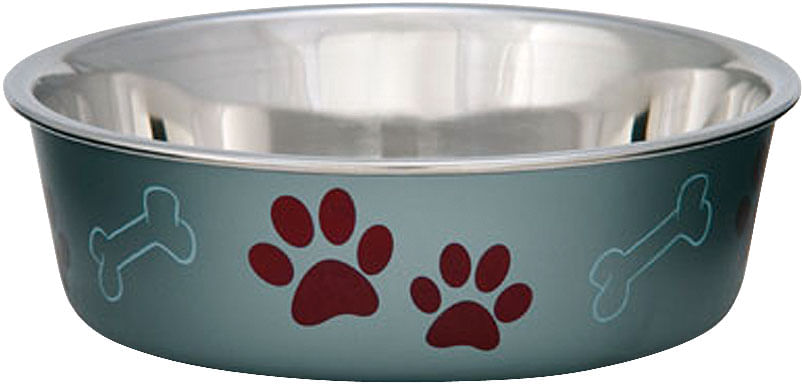 Loving Pets Bella Dog Bowl, Stainless Steel, XLarge - Pesto  