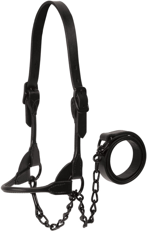 Kirk Stierwalt Black Magic Show Halter - Large, Stierwalt Black Magic Cattle Show Halter  