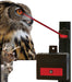 Nite Guard Solar Flash Animal Repellent Device - 4-pack Nite Guard Solar  