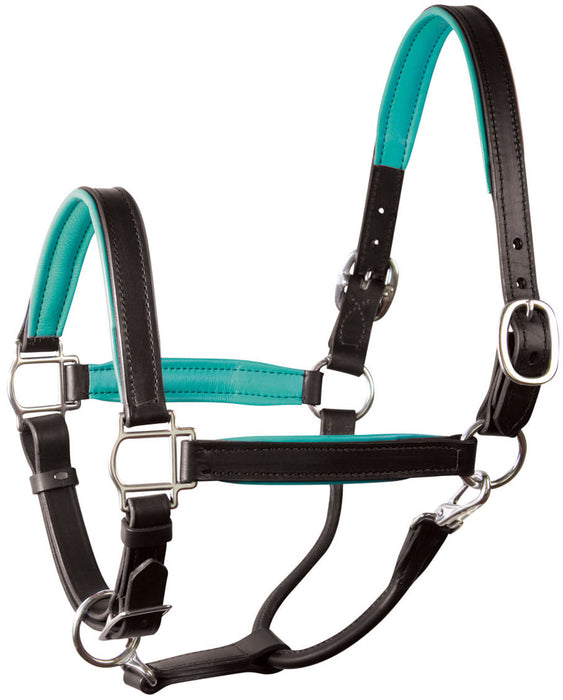 Perri's Soft Padded Leather Halter, Black/Turquoise - Horse  