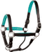 Perri's Soft Padded Leather Halter, Black/Turquoise - Horse  