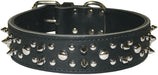 Latigo Spike & Stud Collar, 21" - Black  