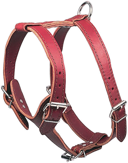 Latigo Leather Large Harnesses, Plain - Burgundy  