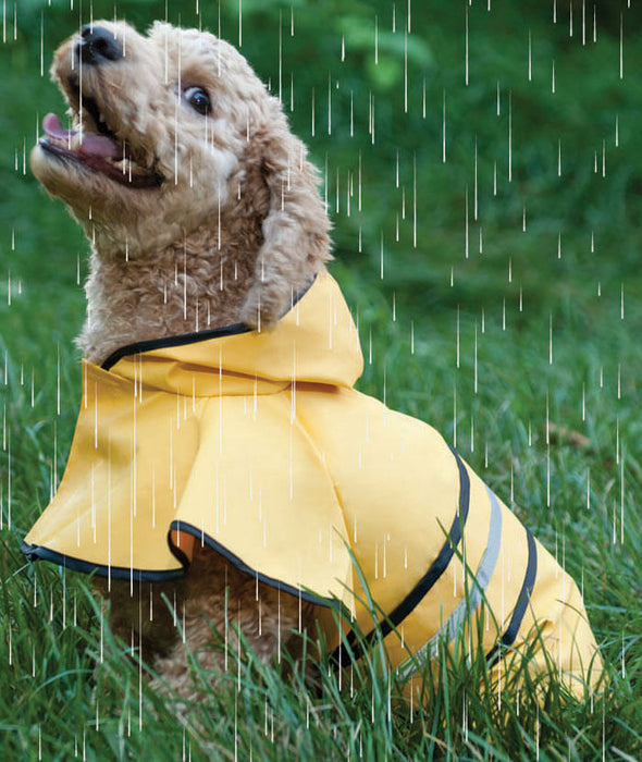 Rainy Days Slicker - X-Small Rainy Days Slicker  