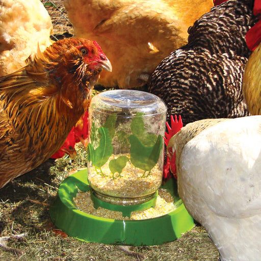 Lixit Chicken Waterer/Feeder - Chicken Waterer/Feeder, 1 Gallon  