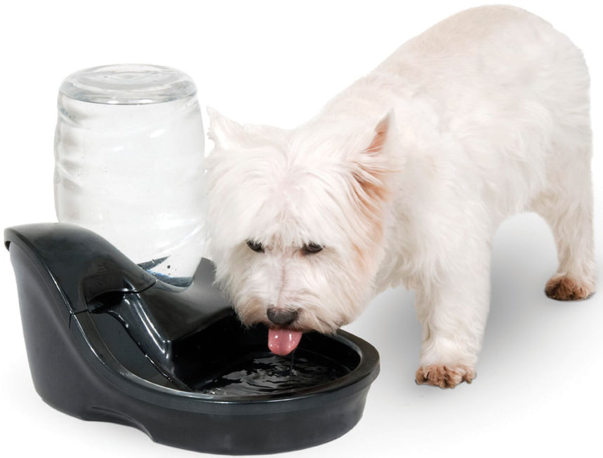 UV Light Infinity Water Purifying Fountain - UV Light Infinity Water Fountain, 180 oz (for dogs)  