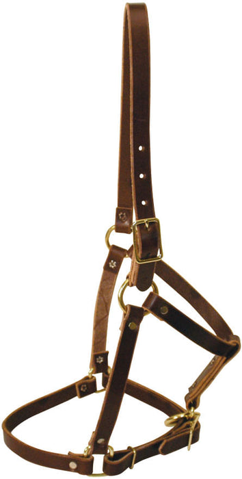 Riveted Leather Halter, Yearling - Riveted Leather Halter, yearling  