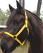 Triple E Nylon Draft Halter, medium (1600-2000 lb) - Yellow  