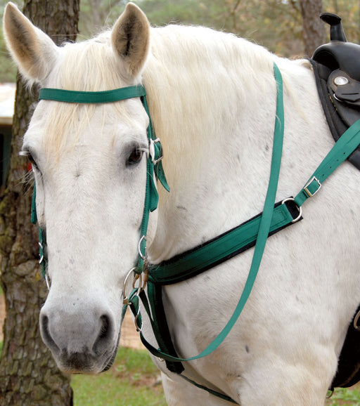 Triple E Nylon Draft Bridle w/ Bit & Reins - Turquoise  