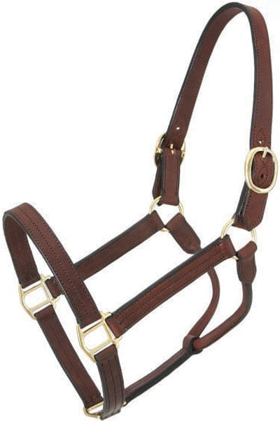 Royal King Preakness Leather Track Horse Halter - Preakness Track Halter, Yearling  