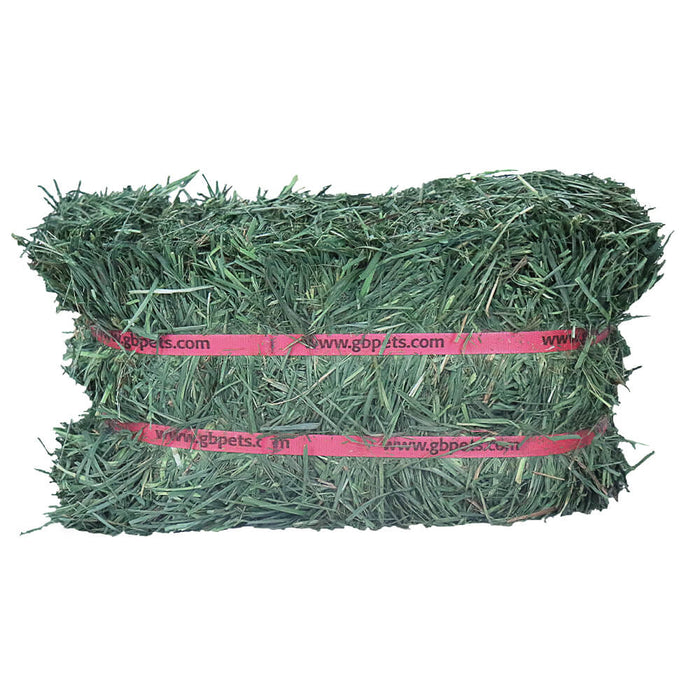 Grandpas Best Orchard Grass Bale Color Green