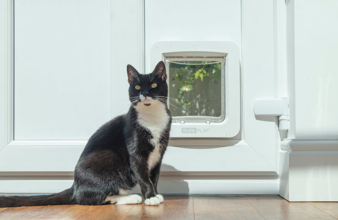 SureFlap Microchip Pet Door Connect Color White