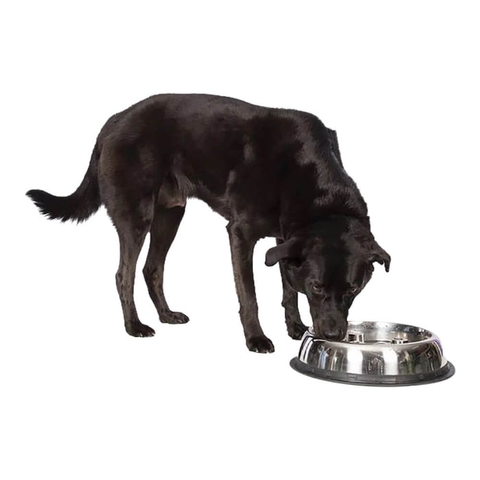 Stainless Steel Dog Bowl