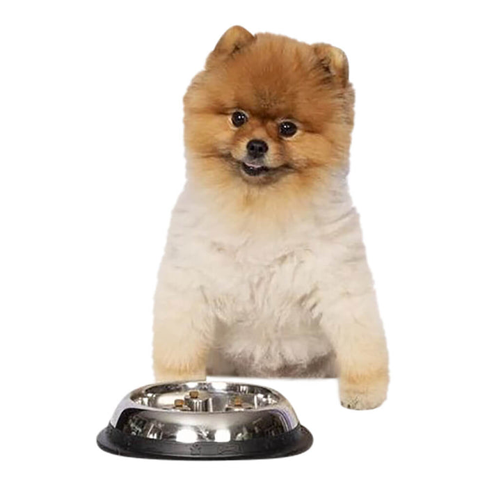 Stainless Steel Dog Bowl